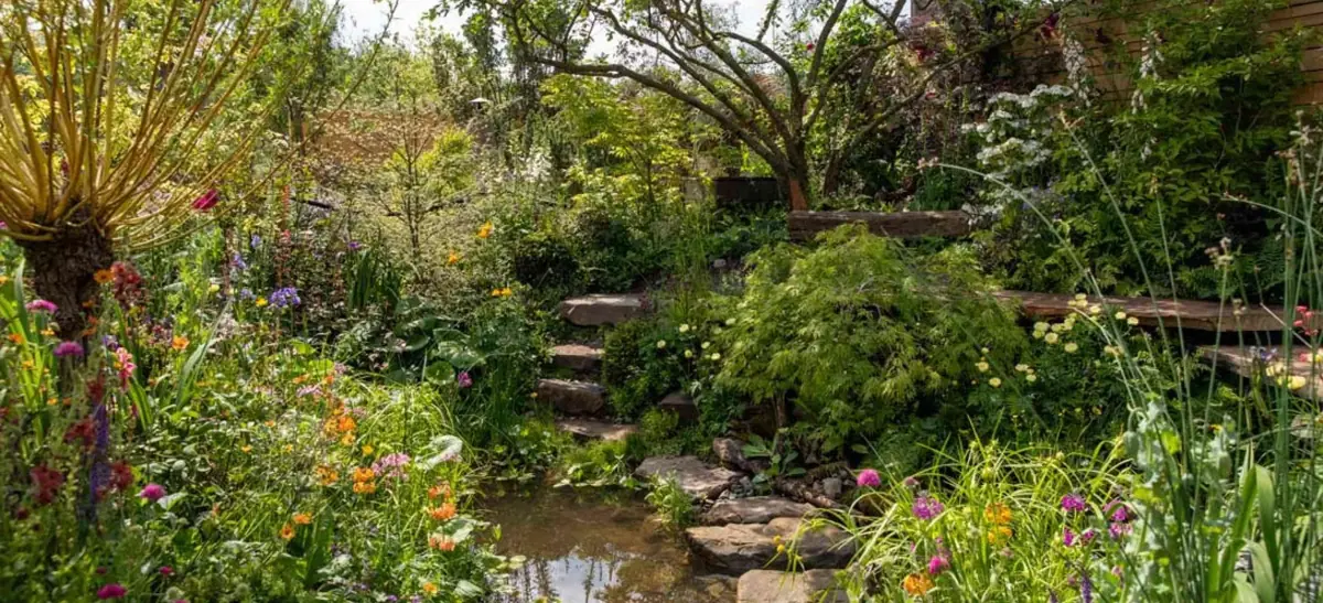 Water and lush planting in The Flood Resilient Garden at RHS Chelsea 2024