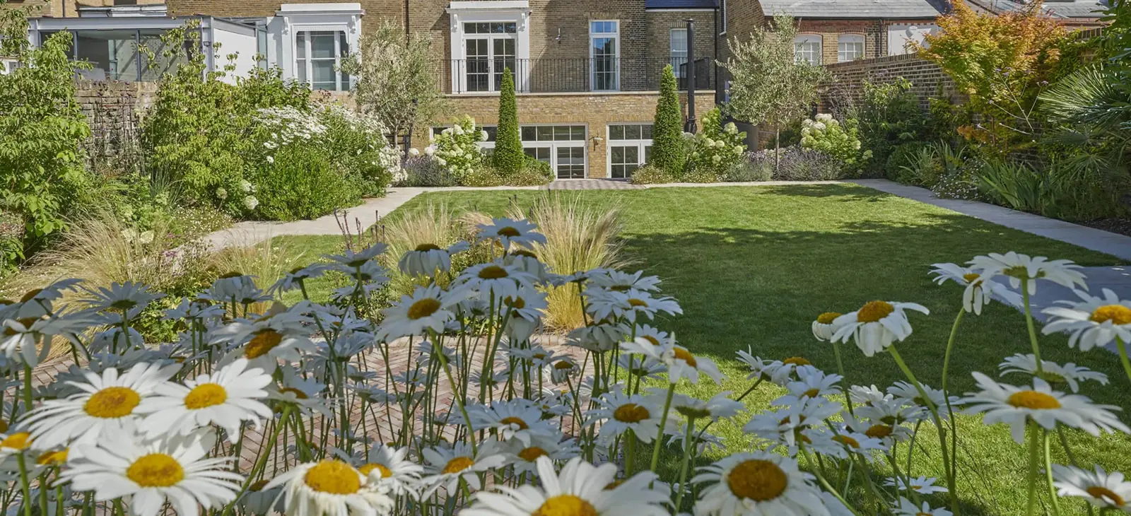 Soft planting and lawn leading back to the house in a Putney walled garden